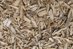 biomass boilers Ale Oak